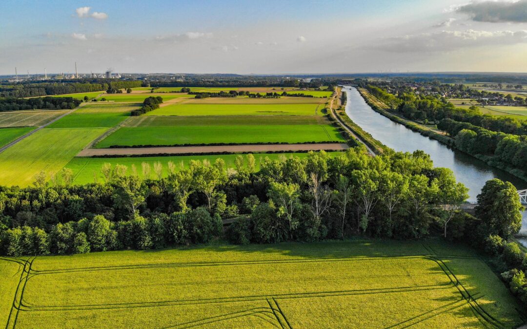 Wijziging ISO 14001 norm voor milieumanagement